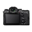 Sony Alpha 1 Mark II