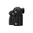 Sony Alpha 1 Mark II