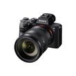 ILCE-7M3 + SEL-24105G ILCE-7M3 + SEL-24105G