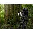 Sony Alpha 7R V