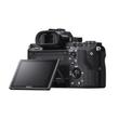 Sony 7S II Sony 7S II