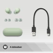 SONY WF-C700NB TWS, BLUETOOTH