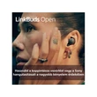 Sony WF-L910W LinkBuds Open