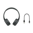 Sony WH-CH520B