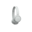 Sony WH-CH520W