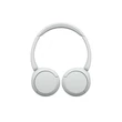 Sony WH-CH520W