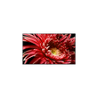 SONY KD-85XG8596B 215CM 4K ULTRA HD ANDROID TV SONY KD-85XG8596B 215CM 4K ULTRA HD ANDROID TV