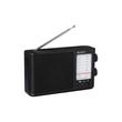 ICF-506 ICF-506