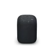 Sony SRS-LS1B LinkBuds Speaker
