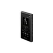 Sony NW-A306B