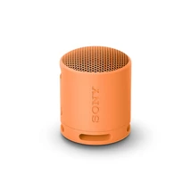 SRS-XB100 Narancssárga