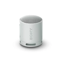 SRS-XB100 Világosszürke