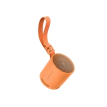 SRS-XB100 Narancssárga