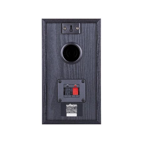 Wilson Cinematic 5.0 (3).JPG