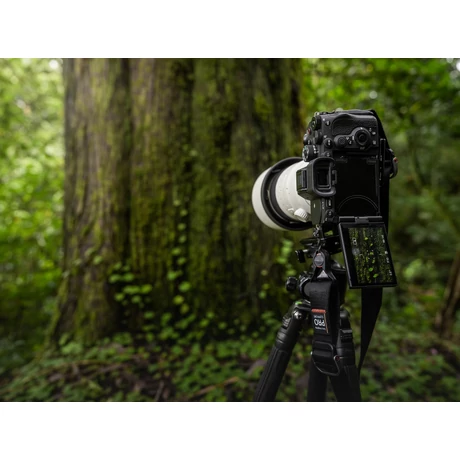 Sony Alpha 7R V