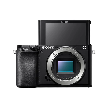 Sony Alpha 6100AKB