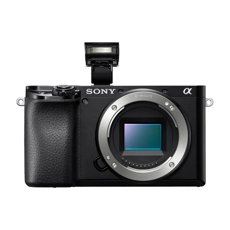Sony Alpha 6100AKB