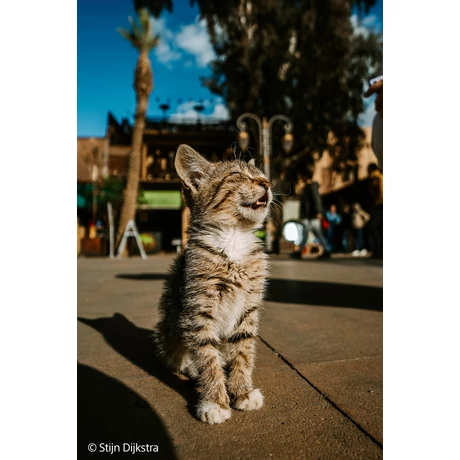 SEL16F18G FE 16 mm F1.8 G