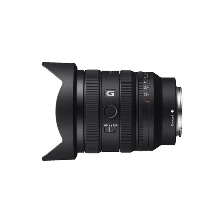 Sony SEL-2450G