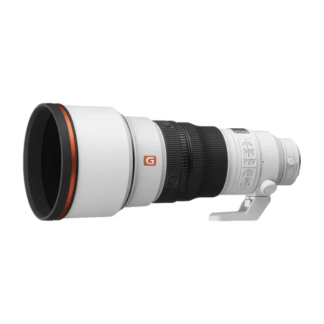 SEL300F28GM