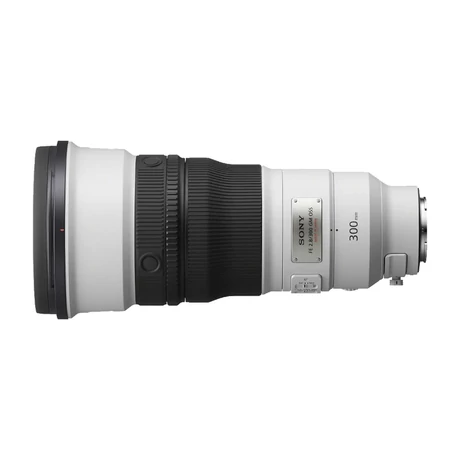 SEL300F28GM