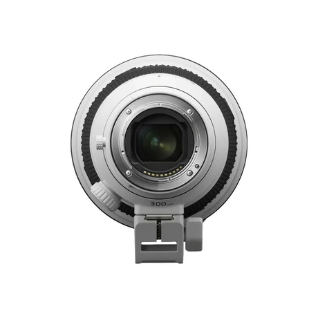 SEL300F28GM
