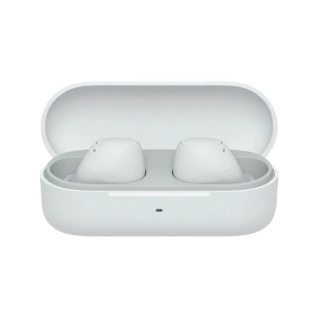 Sony WF-C510W