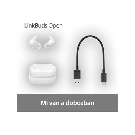Sony WF-L910W LinkBuds Open