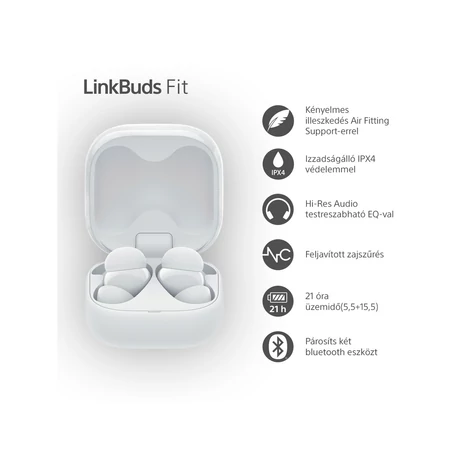 Sony WF-LS910NW LinkBuds Fit 