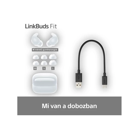 Sony WF-LS910NW LinkBuds Fit 