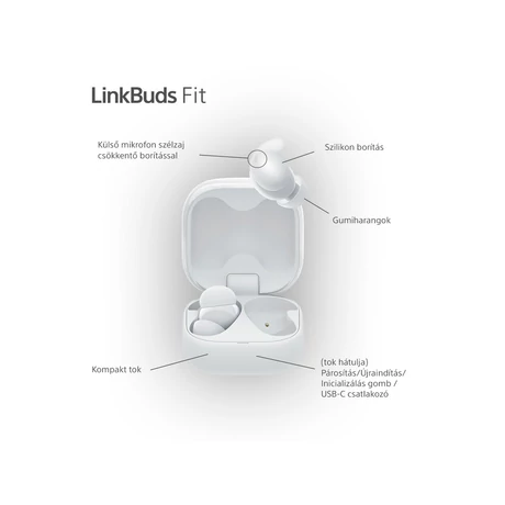 Sony WF-LS910NW LinkBuds Fit 