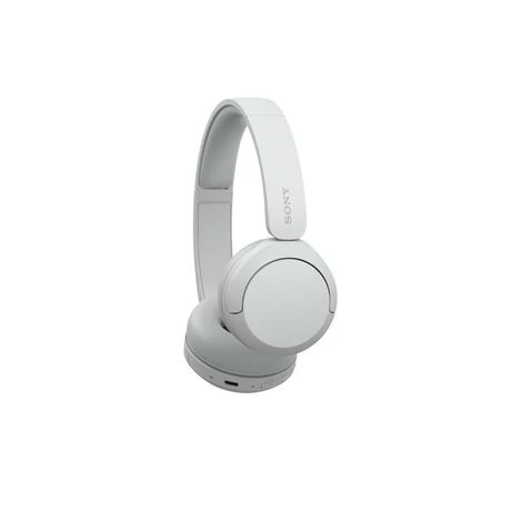 Sony WH-CH520W