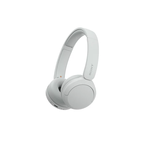 Sony WH-CH520W