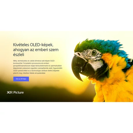 Sony XR-55A83J BRAVIA XR, OLED, 4K, HDR GOOGLE TV