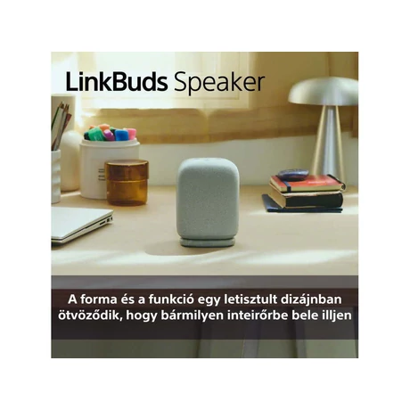 Sony SRS-LS1B LinkBuds Speaker