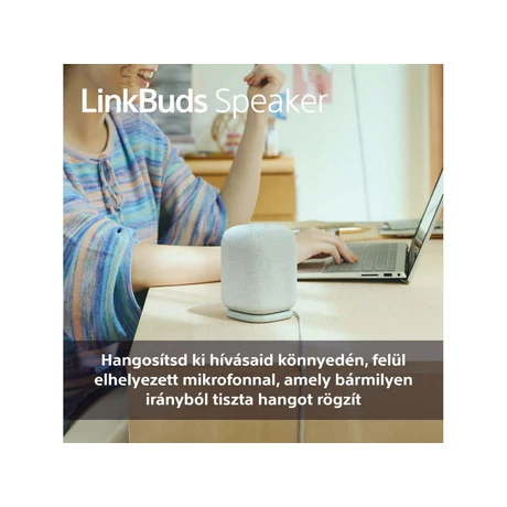 Sony SRS-LS1B LinkBuds Speaker