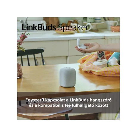 Sony SRS-LS1B LinkBuds Speaker