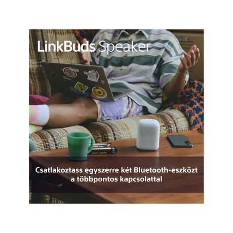 Sony SRS-LS1B LinkBuds Speaker
