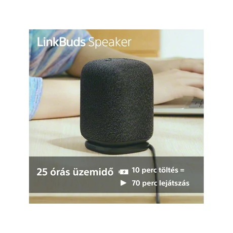 Sony SRS-LS1B LinkBuds Speaker