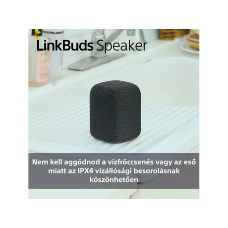 Sony SRS-LS1B LinkBuds Speaker