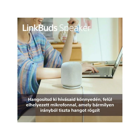 Sony SRS-LS1H LinkBuds Speaker
