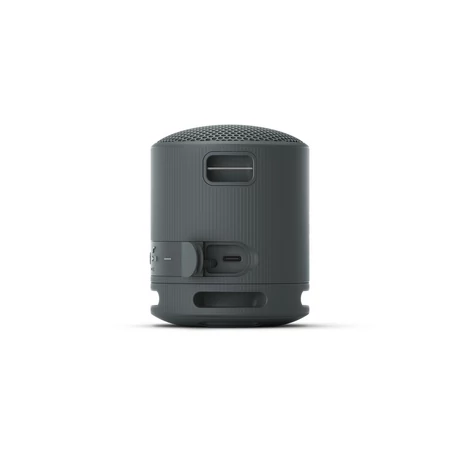 SRS-XB100B