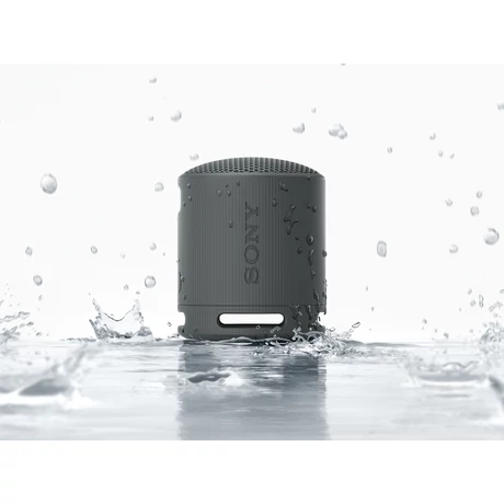 SRS-XB100B
