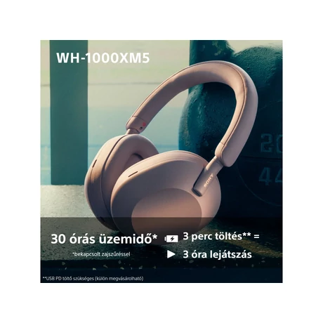WH-1000XM5P