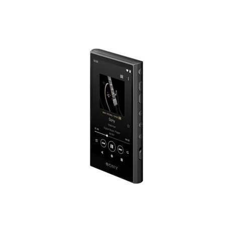 Sony NW-A306B